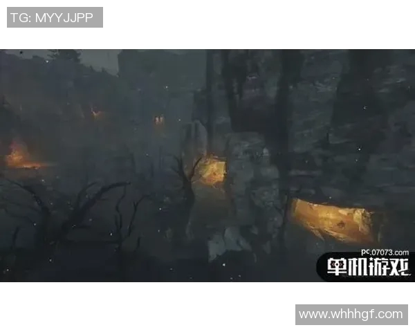 王少杰：在新时代的浪潮中探索创新与传承的平衡之道